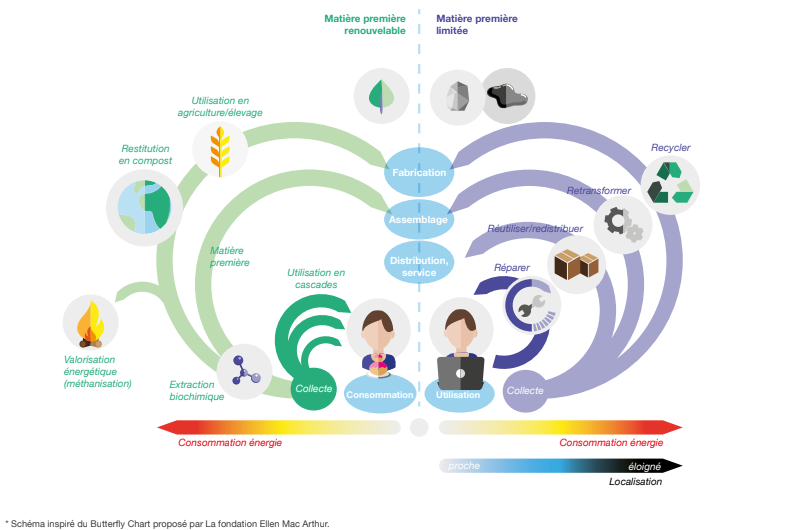 design circulaire 