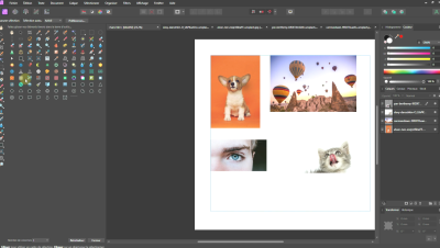 image program